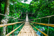 Bamboo Pedestrian Suspension Bridge Over River