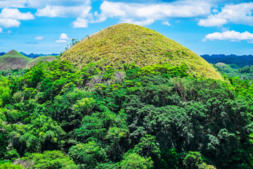 Wall Mural - Famous Chocolate Hills natural landmark