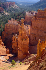 Wall Mural - Thor's Hammer in Bryce Canyon National Park