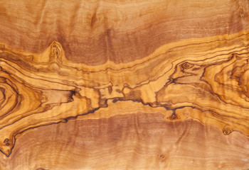 Olive tree wood slice with texture and details