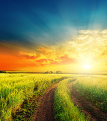 Wall Mural - good sunset and road in green fields