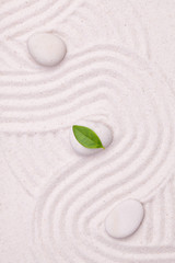 Wall Mural - Zen garden with wave lines in the white  sand with a green leaf