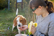 © miras2011 - Young woman and her dog
