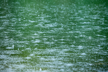 Wall Mural - raindrops at a water surface
