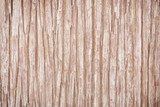 Fototapeta Desenie - Tree bark texture background