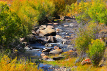 Mountain Stream Between Colorful Autumn Trees