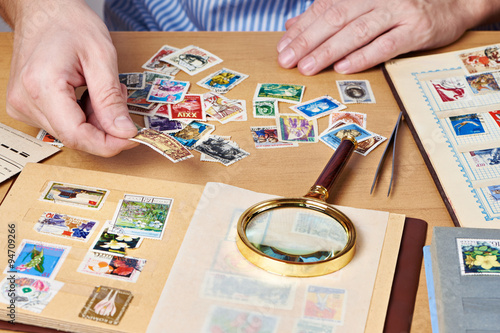 Cuadros en Lienzo Man watching a collection of postage stamps