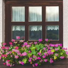 House Facade With Window And Flowers In Alps