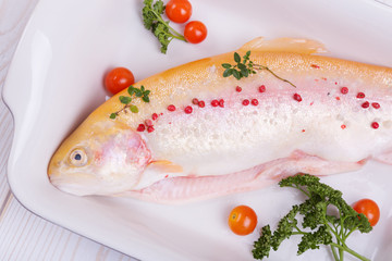 golden trout gutted fish with herbs, cherry tomatoes, squash, herbs in a dish for baking. view from above, from the side, the free space for the inscription.