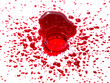 red Blood  splash isolated on white background