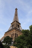 Fototapeta Boho - au pied de la tour Eiffel