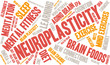 © arloo - Neuroplasticity Word Cloud