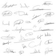 signatures.