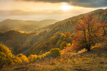 Sunset Autumn Landscape On The Hills