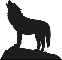 Wolf Standing And Howling
