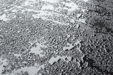 Water Drops On Wet Asphalt, Background Texture