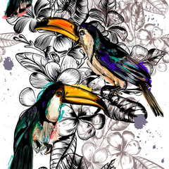 Fototapete - Seamless wallpaper pattern with tropical flowers and toucan bird