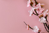 flowering branches of cherry (sakura) on a pink background