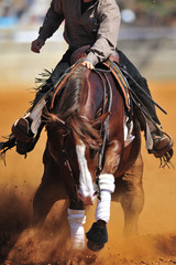 Wall Mural - A close up view of a rider sliding the horse in the dirt