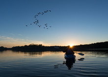 Woman Kayaking At Sunset
