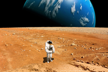 Wall Mural - a stranded astronaut surveys his situation on a barren moon - elements of this image furnished by na