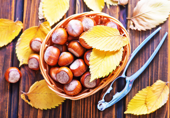 Wall Mural - hazelnuts