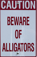 Caution Beware Of Alligators Sign