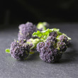 Close up of purple sprouting broccoli on a kitchen counter.