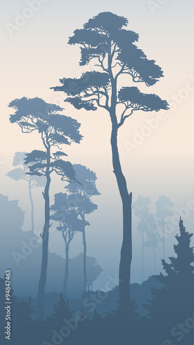 vertical-illustration-of-forest-with-tall-pines