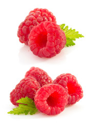 Poster - raspberry  on white