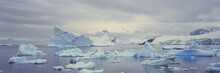 Panoramic View Of Glaciers And Icebergs In Paradise Harbor, Antarctica