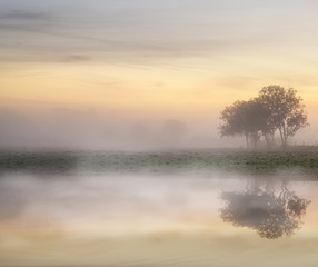 Wall Mural - stunning vibrant autumn foggy sunrise english countryside landsc