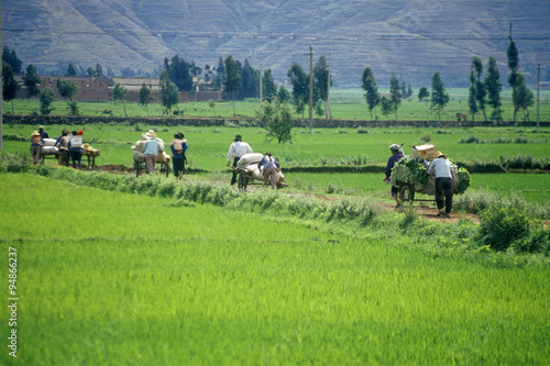 Fotografie, Obraz Villagers escape traffic jam down side road in Dali, Yunnan Province, People's R