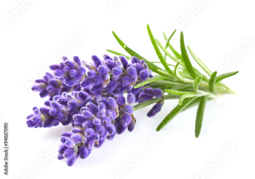 Photo: Lavender Lavender