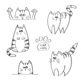 Fototapeta Koty - Set of doodle funny cats, sketchy vector illustration. 
