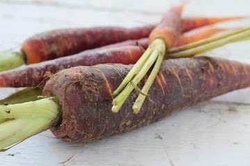 Poster - heritage chantenay carrots