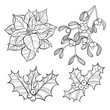  Set of  Christmas flowers  isolated on white background. Hand-drawn vector illustration
