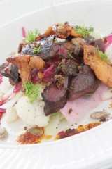 Poster - duck gizzard starter