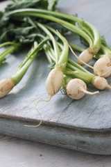 Wall Mural - baby turnips