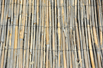  Reed background from roof of antique hut