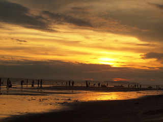 Wall Mural - sunrise in the sea