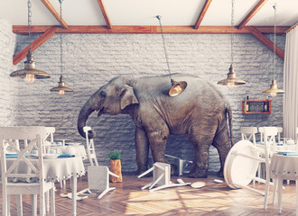 the elephant in a restaurant