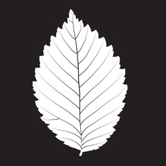 Poster - Vector silhouette leaf