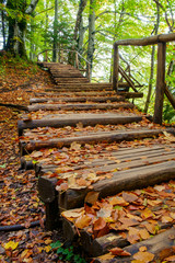 Wood path in the Plitvice national park in autumn