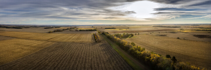 autumn crop land