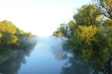 Fototapeta Las - River in the fog