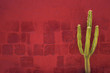 canvas print picture - Green Cactus over red wall, Santa Catalina Monastery, Arequipa,