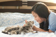 © lalalululala - Beautiful asian girl kissing american shorthair cat