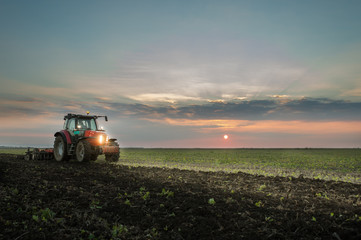 Wall Mural - Tractor plowing a field