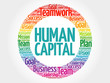 Human capital circle stamp word cloud, business concept